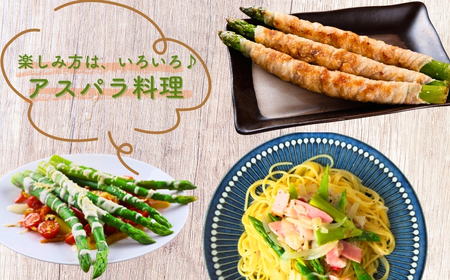 アスパラガス 1kg (訳アリ) 野菜 訳あり アスパラ | 石川県 小松市 本田農園