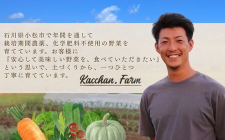 【定期便3ヶ月】季節の野菜詰め合わせ Aセット 野菜食べ比べ 旬の野菜 野菜セット定期便 | 石川県 小松市【Kacchan.Farm】