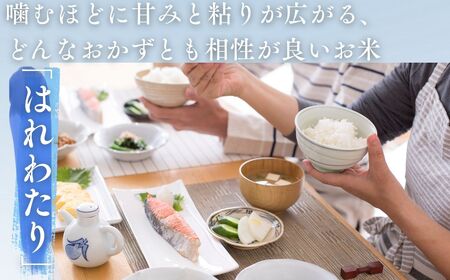 【令和7年産米】青森ブランド米 はれわたり10kg 白米[fu-0029-002]