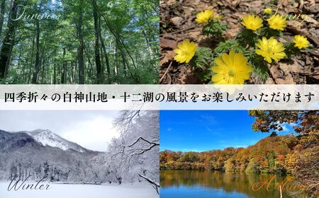 アオーネ白神施設で使える利用券 30,000円分 [fu-0013-004]