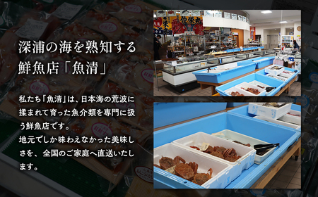 【北国の郷土料理】銀鮭飯寿司3パックセット（150g×3）[fu-0025-002]