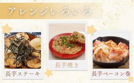 お届け：2026年12月中旬～2027年2月下旬　深浦町産 ネバリスター 約5kg 土つき 長芋[fu-0022-001]