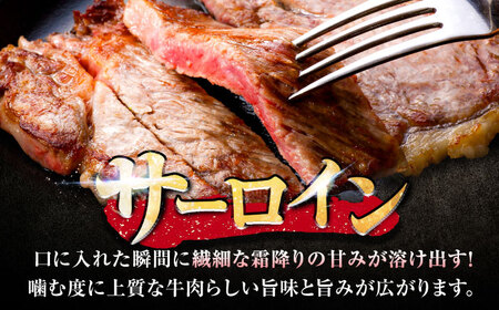 【7営業日以内発送！】 佐賀牛 サーロインステーキ 500g(250g×2) 吉野ヶ里町/丸宗ミート[FDP028]
