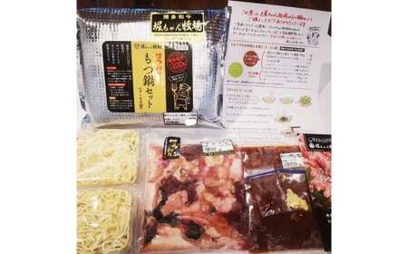 堀ちゃん牧場 博多和牛 もつ鍋セット 牛肉 牛 肉 にく ニク お肉 和牛 博多牛 冷凍 国産 福岡県産 モツ鍋 もつ鍋 もつ モツ お鍋 セット お鍋セット
