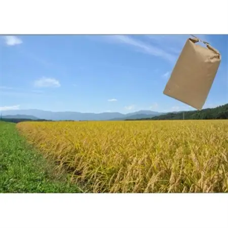 長野県産特別栽培米　ミルキークイーン　精米　5kg【1716824】