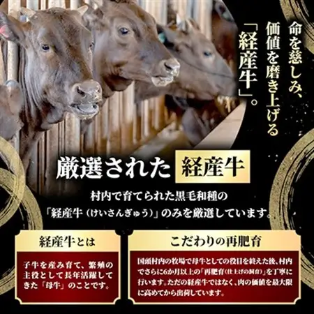やんばるの自然が育んだ「黒毛和牛 経産牛」切り落とし 合計1kg(500g×2パック)【配送不可地域：離島】【1716771】