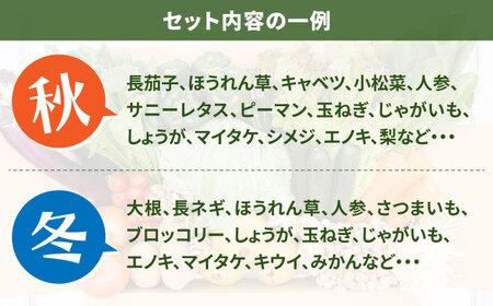 【24回定期便】野菜定期便15品目以上 [SCZ003]
