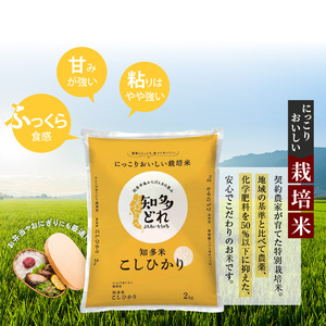 にっこりおいしい栽培米　知多米こしひかり（2kg）