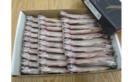 岡嶋水産　生乾しししゃも中オス40尾(C0040)