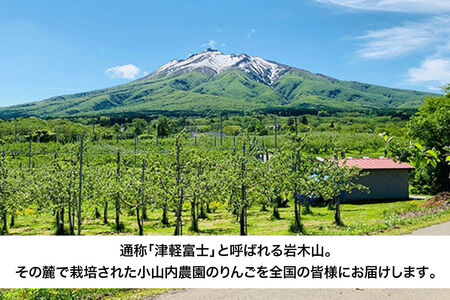 【26年12月発送】りんご サンふじ【秀】家庭用 約3kg 小山内農園【先行予約】