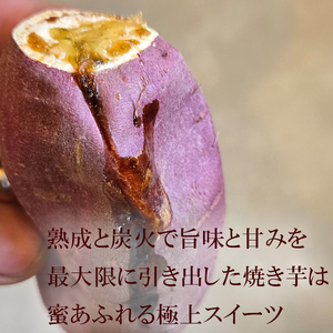【Tファーム】蜜たっぷり！旨み極めた熟成壺焼き芋 1.5kg【0015-0070】