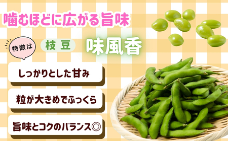 とうもろこし（恵味）・枝豆セット《2026年7月上旬頃より出荷予定》木内ファーム_とうもろこし Ca-006