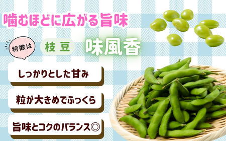 とうもろこし・枝豆セット 木内ファーム_とうもろこし Ca-005