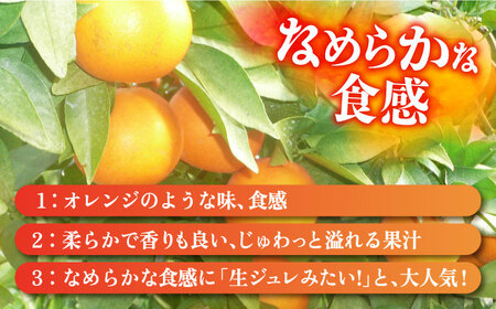 【ご家庭用】天草 （あまくさ） 約5kg 長与町/果豊園[ECL015]