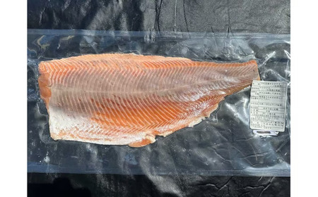 海産問屋カネニ　船上活〆天然冷凍サクラマス（半身2枚　計1ｋｇ）（D0008）