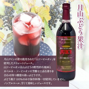 月山山ぶどう果汁・原液セット 各720ml×1本　山形県鶴岡市 庄内観光物産館事業部　| ぶどう 果汁 ブドウジュース 果汁100% 果汁飲料 飲料 飲み物 セット ジュース 果汁 山ぶどう 山形県 鶴岡市 返礼品