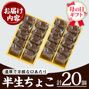 ＼令和8年 母の日／半生チョコケーキ20個（10個×2箱）【MDA-005H】