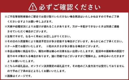 ご家庭用 岡山県産 ニューピオーネ 約600g （ 600g×1房 ） ぶどう ブドウ 葡萄 くだもの 果物 果実 フルーツ 国産 【 2026年8月下旬～9月下旬発送予定 】