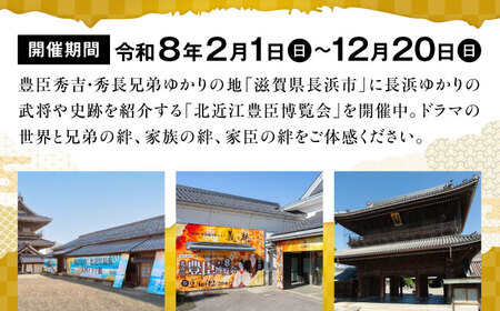 北近江豊臣博覧会3施設共通券 2枚 [AQDR002]