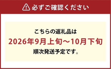 [HS]ぶどう 最高級品シャイン マスカット 晴王 1房 約600g【2026年9月上旬～10月下旬発送】【ブドウ 葡萄  岡山県産 船穂産 フルーツ 果物 ギフト】