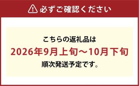 [HS]ぶどう 最高級品シャイン マスカット 晴王 1房 約650g【2026年9月上旬～10月下旬発送】【ブドウ 葡萄  岡山県産 船穂産 フルーツ 果物 ギフト】
