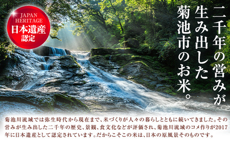 第13回 菊池米食味コンクール 個人総合部門 入賞米 ひのひかり 精米 5kg 七城町特産品センター《30日以内に出荷予定(土日祝除く)》熊本県 菊池市 米 こめ ヒノヒカリ お米 ブランド米 単一原料米 菊池