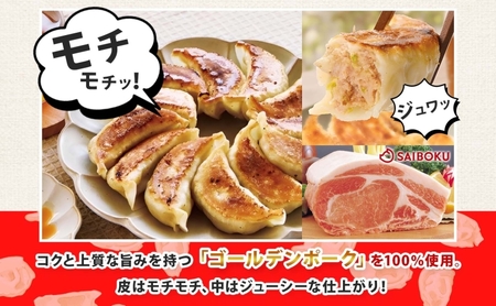 プレミアム 冷凍餃子 120個 SAIBOKU ぎょうざの満洲 タレ付き コラボ サイボク ゴールデンポーク ポーク 豚肉 国産 小麦粉 モチモチ 水餃子 冷凍調理 焼餃子ゆで餃子 ギョウザ 夕食 おつまみ 晩酌 埼玉県 日高市