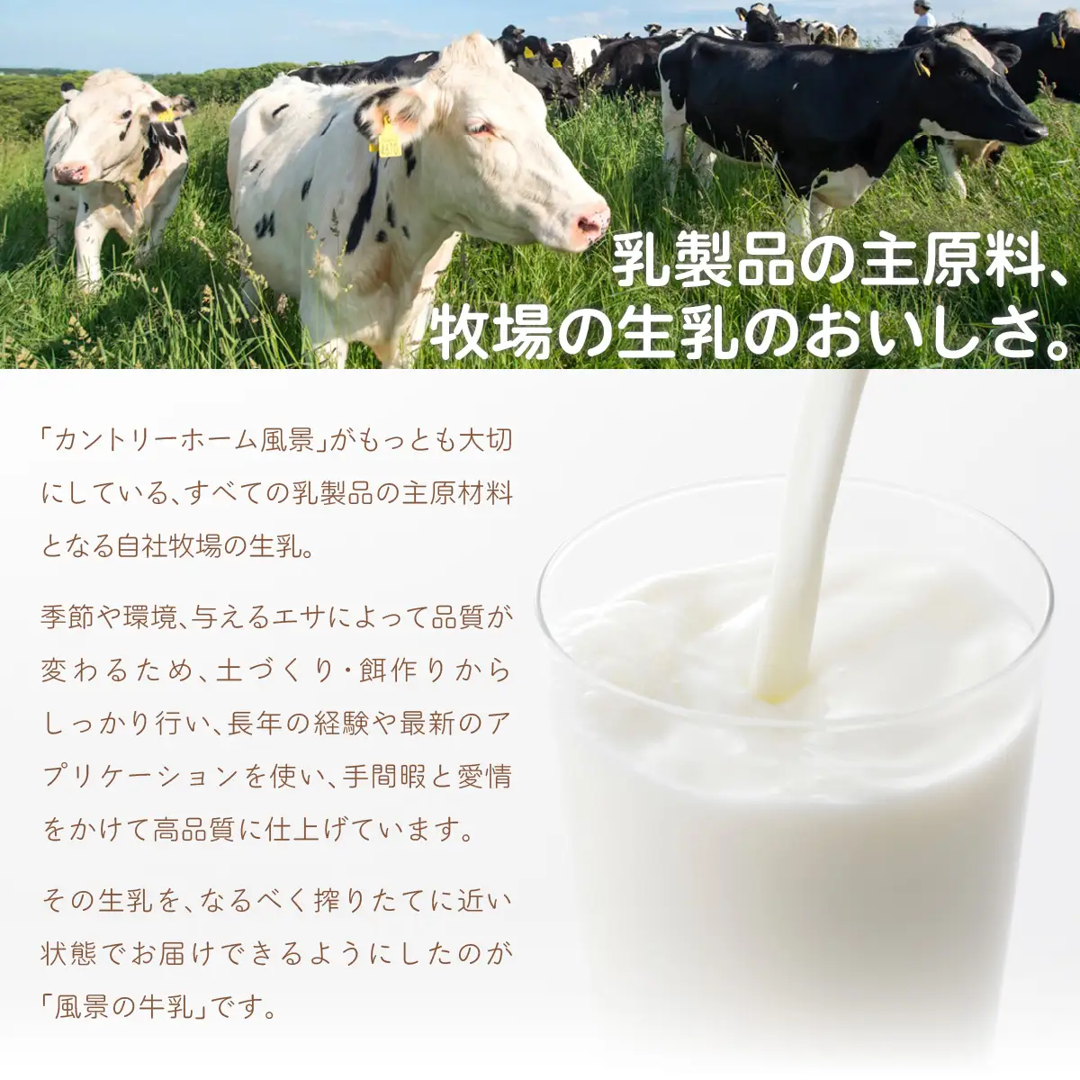 風景の牛乳 200ml ×24 SKB087
