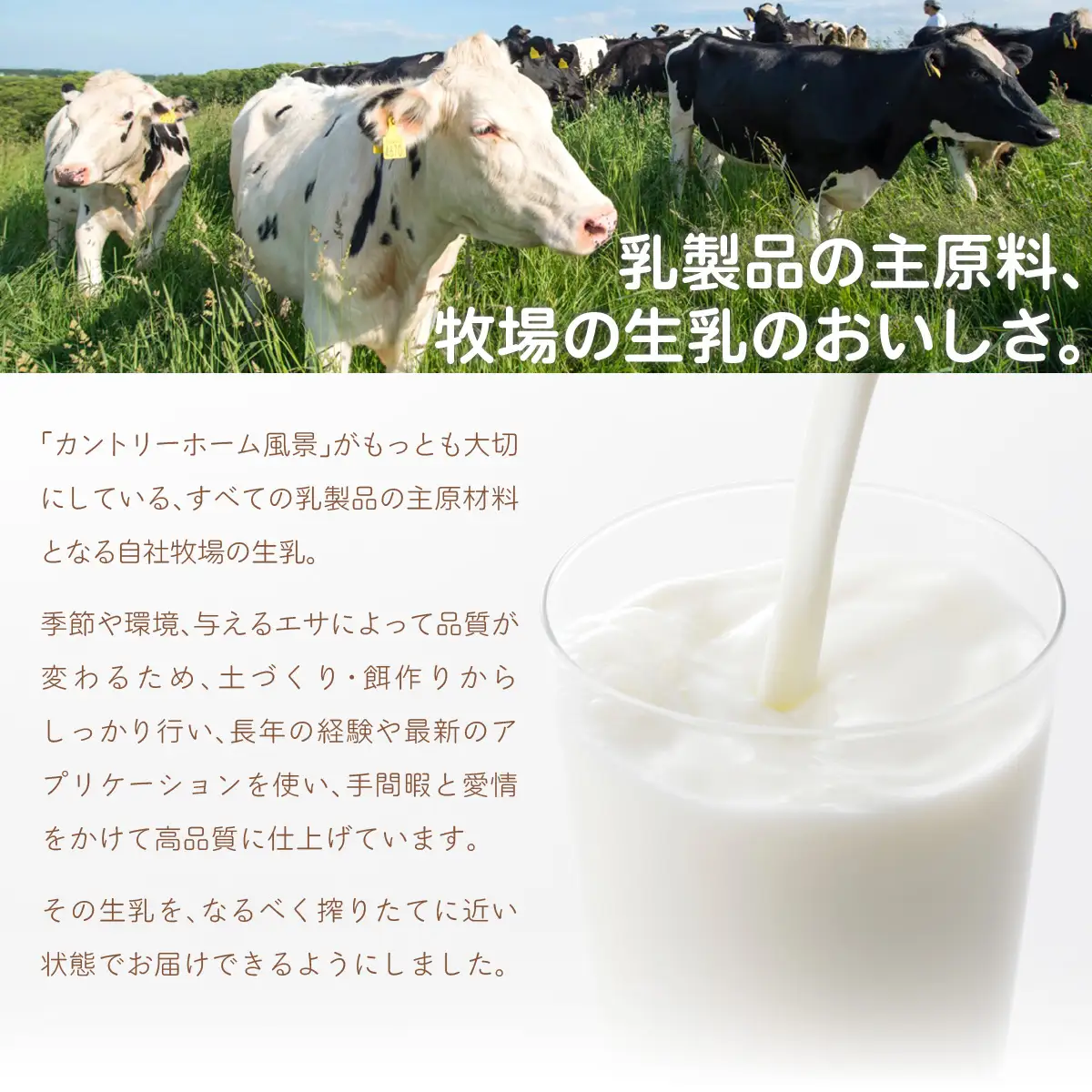 【定期6ヶ月】のむヨーグルト500g 風景の牛乳500ml 各2本 SKB105