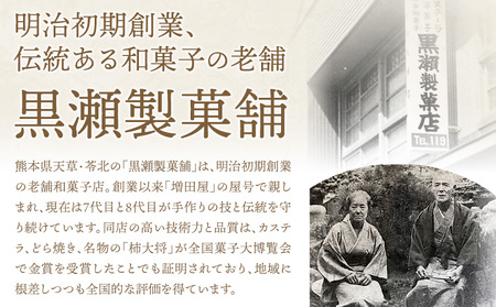 黒瀬のどら焼き 詰め合わせ 天草の塩どら焼き 10個
