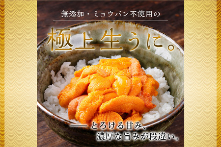 【先行受付】《北海道産》バフンウニ 塩水 100g×2パック＜札幌カネシン水産＞ | ウニ丼 無添加 北海道 札幌市