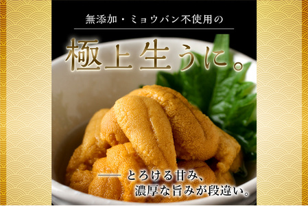 【先行受付】《北海道産》ムラサキウニ 塩水 100g ×2パック＜札幌カネシン水産＞ | ウニ丼 無添加 北海道 札幌市