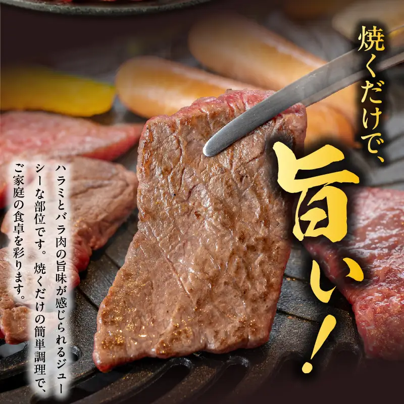 【氷温熟成×特製ダレ】希少部位 牛肉 うちハラミ 800g（400g×2）