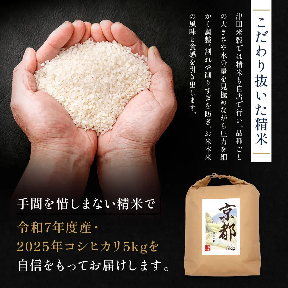 【津田米穀】五つ星お米マイスター監修 藤野さんが育てたコシヒカリ 5kg｜令和7年度産コシヒカリ 白米 こだわり抜いた精米 人気