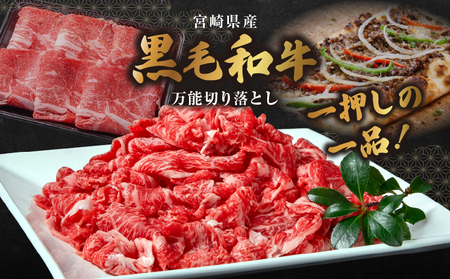 和牛おまかせ万能切落し700g|黒毛和牛 和牛 国産牛 牛肉 切り落とし 切落し 切り落し 霜降り 霜降り肉 赤身 混在 おまかせ肉 万能肉 家庭用 大容量 700g 小分け 350g 冷凍 有田牧場 エモ―牛 生産者直送 ブランド牛 受賞牛 品評会受賞 ワールドステーキチャレンジ 生産者部門 最優秀賞 宮崎県 高千穂町 ふるさと納税 返礼品|_Tk055-001