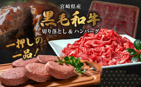 宮崎牛入有田ハンバーグ150g×5個と万能切落し500g |宮崎牛 和牛 黒毛和牛 国産牛 牛肉 ハンバーグ 牛100％ ハンバーグステーキ 切り落とし 切落し 万能切落し 霜降り 赤身 混在 有田牧畜 エモ―牛 ハンバーグセット セット商品 詰め合わせ 家族向け 家庭用 夕食 冷凍 小分け 500g 150g 食べ比べ 人気 TV紹介 ふるさと納税 返礼品 宮崎県 高千穂町|_Tk055-002