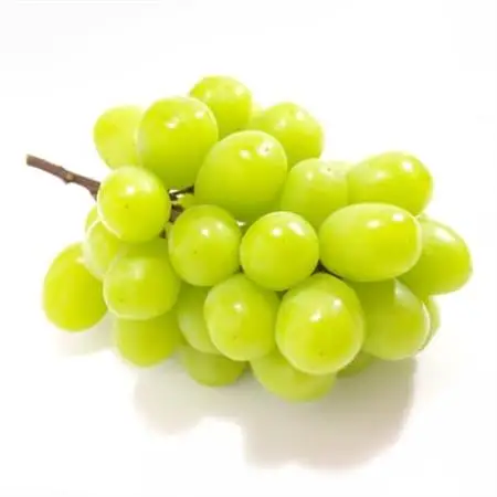 【発送月固定定期便】山梨旬の味覚定期便【桃 約1kg/2色葡萄 1kg以上】全2回【配送不可地域：離島】【4082867】