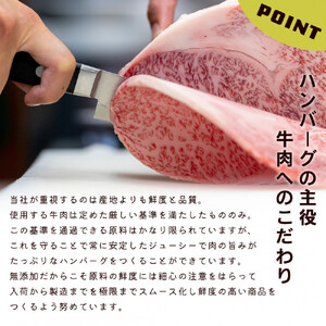 化学調味料保存料不使用無添加 牛肉100％ ハンバーグ 120g×10個セット