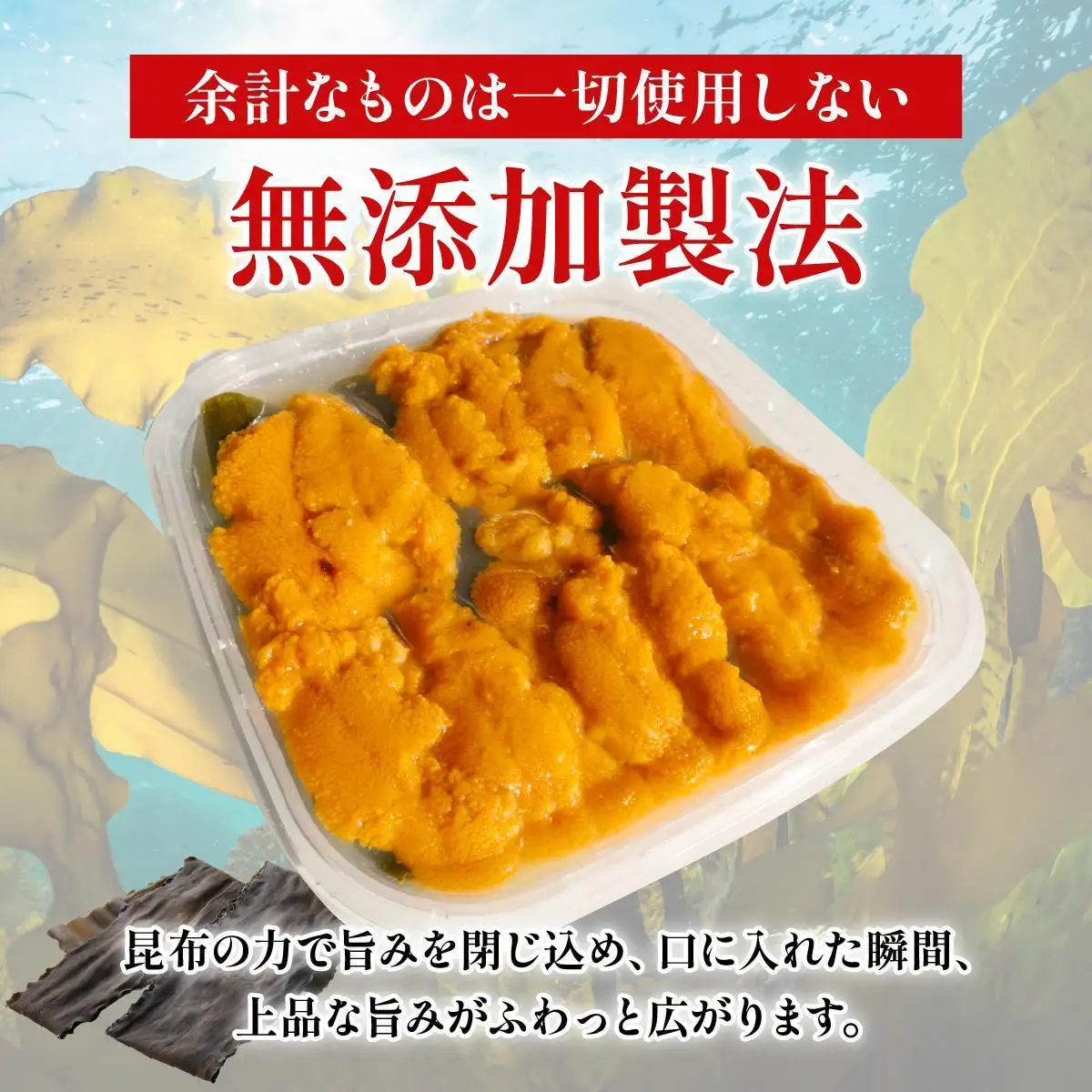 無添加 昆布仕立ての生うに 50g×4P 
