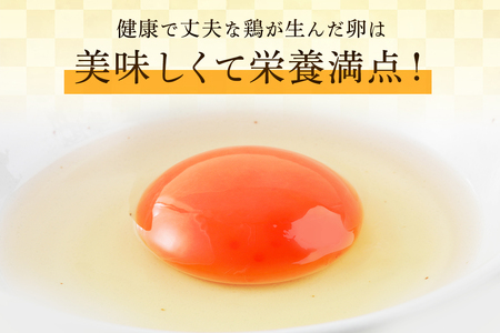 ゴマで育てた「ごまちゃん卵」20個 [0712]