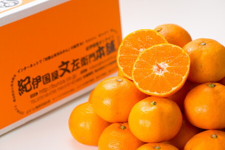 ブランド 有田 みかん 秀品 約2.8kg【サイズおまかせ】