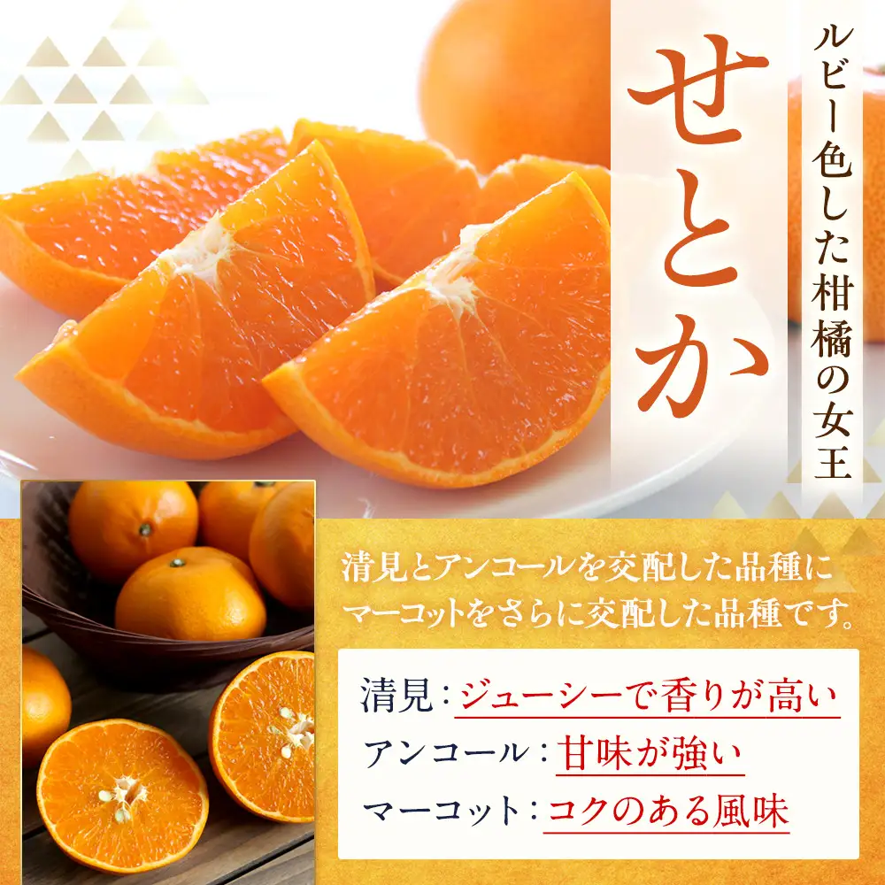 訳あり せとか 1kg M～2Lサイズおまかせ 高石垣ファーム