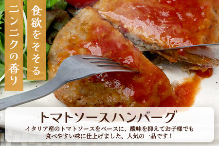 レンチン ハンバーグ ≪トマトソース・ペッパーソース≫ 合計10個 067-0707