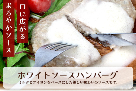 レンチン ハンバーグ ≪ホワイトソース・ブラウンシチューソース≫ 合計10個 067-0710