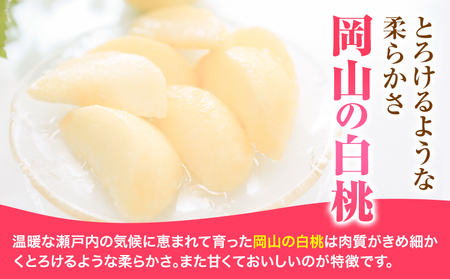 白桃 7玉 ホーティカルチャー神島【配送不可地域あり】