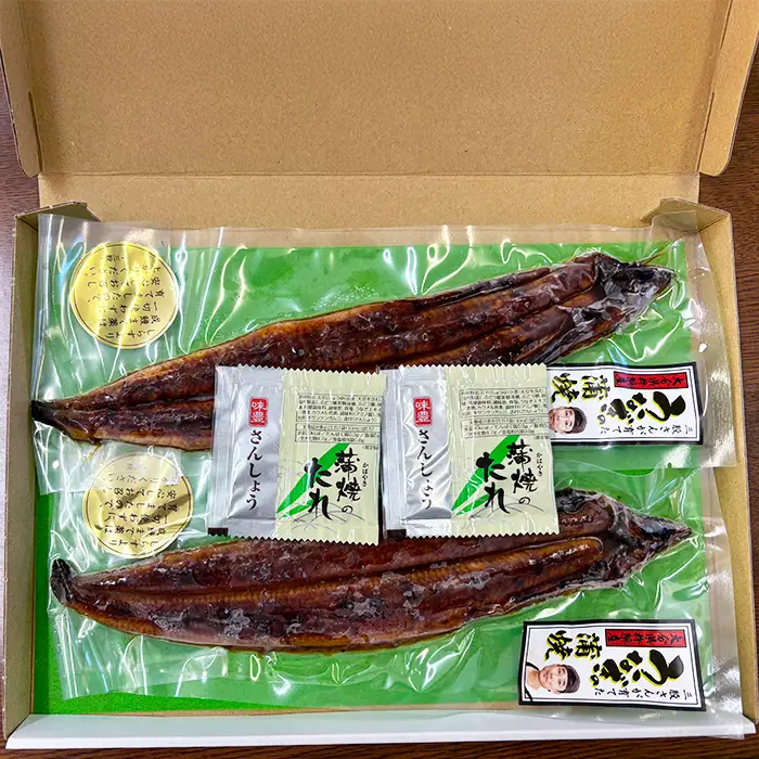 温泉うなぎ 蒲焼 2尾（120gサイズ） 自宅用 エコ 包装【大分水産】 国産 完全無投薬 うなぎ 九州 大分県 うな丼 うな重 冷凍 鰻 受賞 土用の丑の日 スタミナ 夏バテ ＜104-067＞