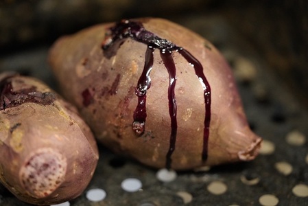 【2026年先行予約】 甲州芋徹の超熟成・冷凍焼き芋 2種セット 計5本入（個包装）/ Inakakara -Farm to Table- [h364]