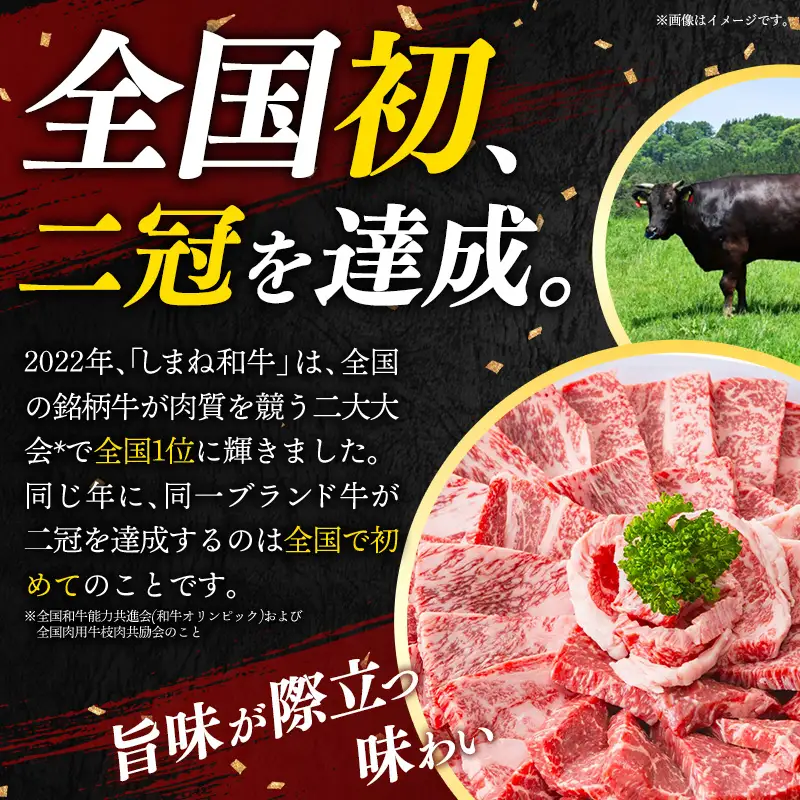 しまね和牛 訳あり ロースステーキ 220g×2枚 【黒毛和牛 ステーキ肉 牛肉 和牛 440g リブロース 冷凍 A4 サーロイン 贅沢 おもてなし ギフト 贈り物 国産 島根県 安来市】【30-DC-83】