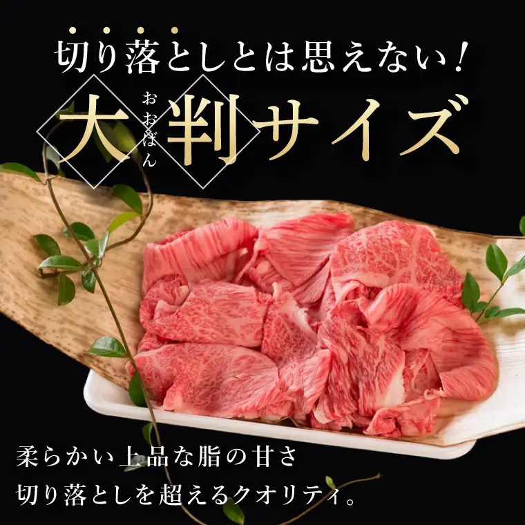 常陸牛 霜降り 肩ロース 切り落とし 600g 肉のイイジマ（DU-176）