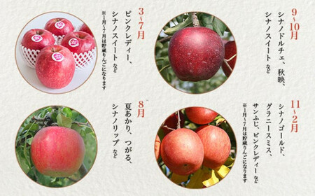 旬のりんご 約1.8kg 6～8個 ＆ りんごジュース 180ml × 3本セット［小布施屋］ ［A-525］